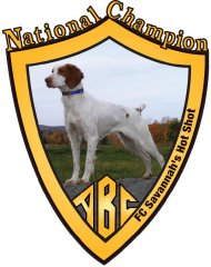 American Brittany Club