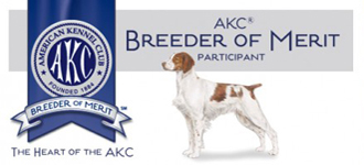 AKC Brittany breeder Award of Merit