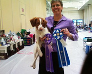 Buddie finishes show championship