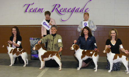 team renegade brittanys